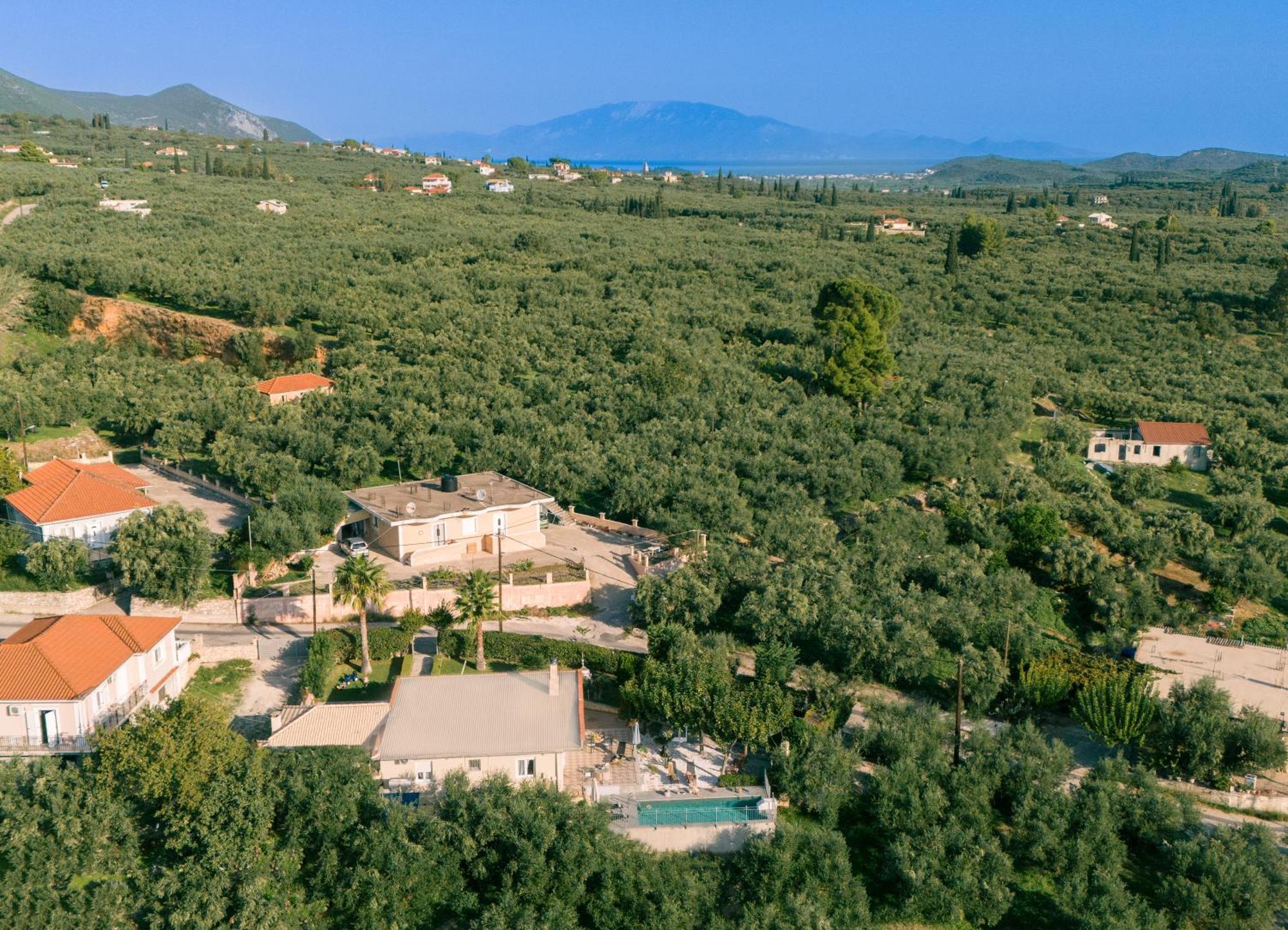 Villa Vrisi Fagias Dış mekan fotoğraf